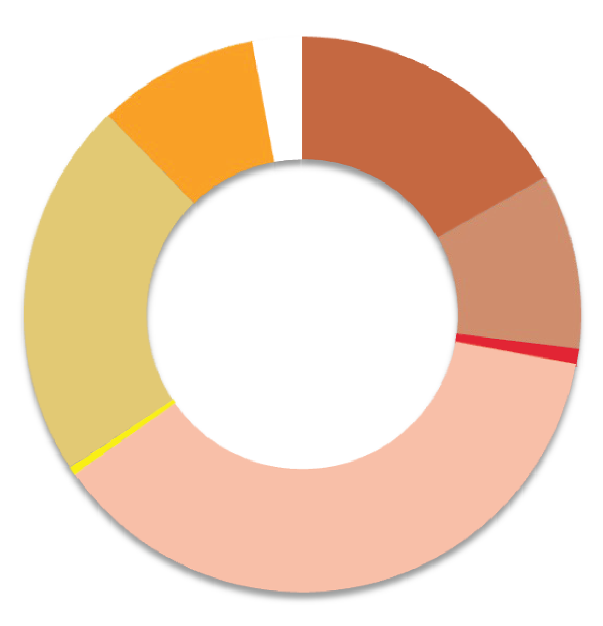 Pie Chart